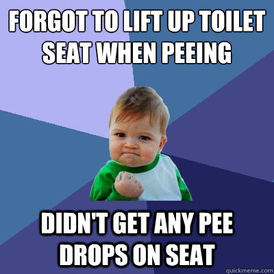 forgot to lift up toilet seat when peeing didn't get any pee drops on seat  Success Kid