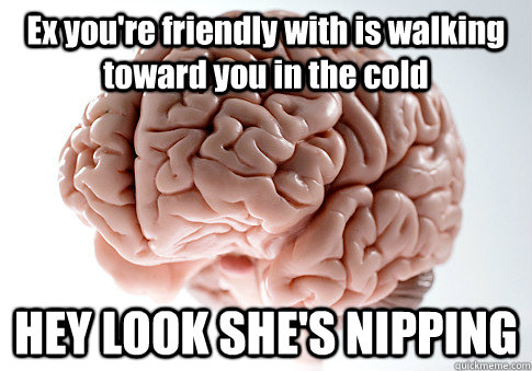 Ex you're friendly with is walking toward you in the cold HEY LOOK SHE'S NIPPING  Caption 4 goes here - Ex you're friendly with is walking toward you in the cold HEY LOOK SHE'S NIPPING  Caption 4 goes here  Scumbag Brain