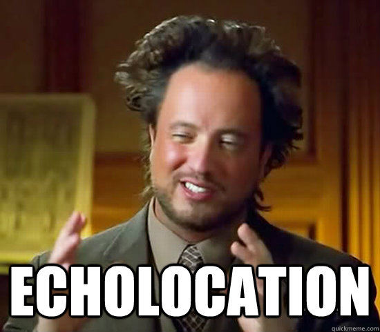  Echolocation  Ancient Aliens