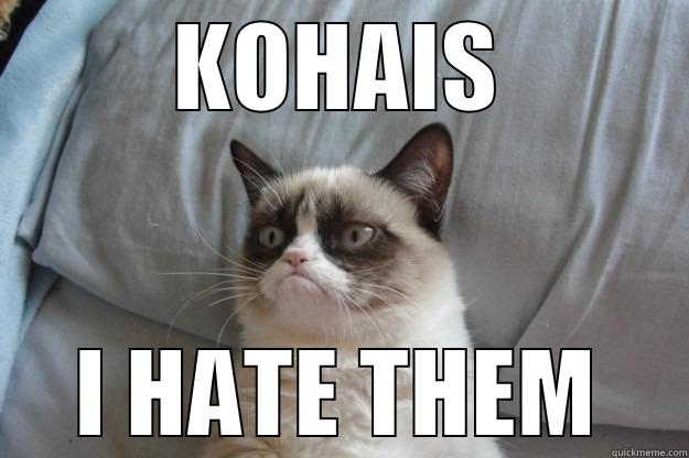 KOHAIS I HATE THEM Grumpy Cat