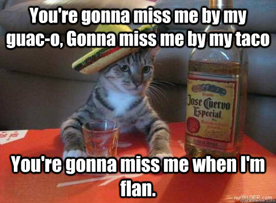 You're gonna miss me by my guac-o, Gonna miss me by my taco You're gonna miss me when I'm flan. - You're gonna miss me by my guac-o, Gonna miss me by my taco You're gonna miss me when I'm flan.  sombrero cat