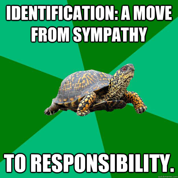 Identification: a move from sympathy  to responsibility.  Torrenting Turtle