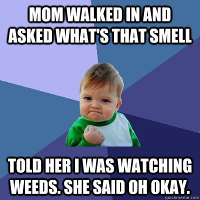 Mom walked in and asked what's that smell Told her i was watching weeds. She said oh okay.  Success Kid