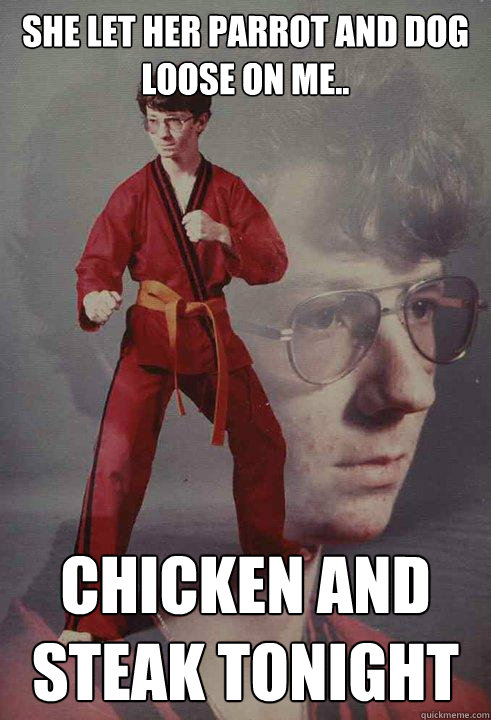 She let her parrot and dog loose on me.. Chicken and Steak tonight - She let her parrot and dog loose on me.. Chicken and Steak tonight  Karate Kyle