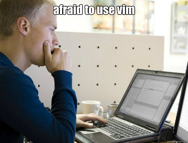 afraid to use vim  - afraid to use vim   Programmer