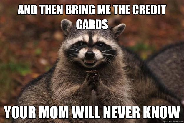 AND THEN BRING ME THE CREDIT CARDS YOUR MOM WILL NEVER KNOW  Evil Plotting Raccoon