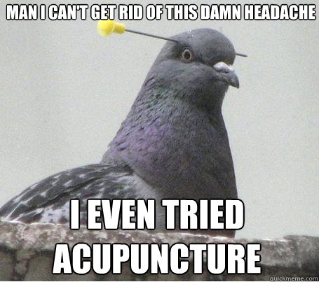 Man I can't get rid of this damn headache  I even tried acupuncture  