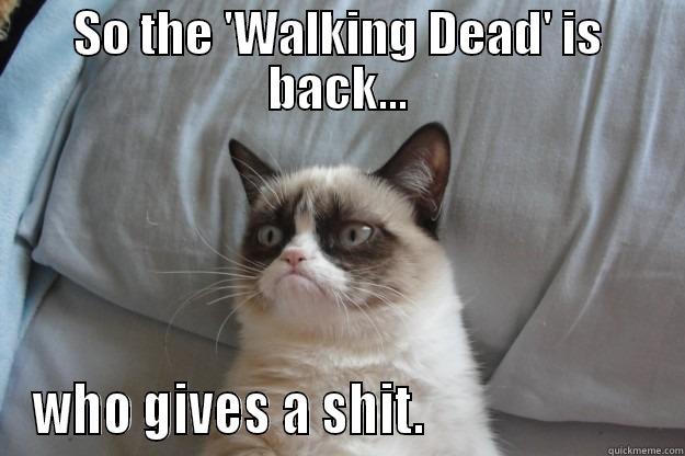 SO THE 'WALKING DEAD' IS BACK... WHO GIVES A SHIT.                       Grumpy Cat