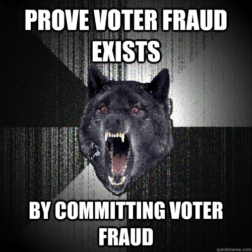 prove voter fraud exists by committing voter fraud  Insanity Wolf