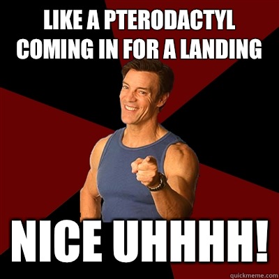 Like a pterodactyl coming in for a landing Nice uhhhh!  Tony Horton Meme