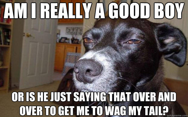 am i really a good boy or is he just saying that over and over to get me to wag my tail?  