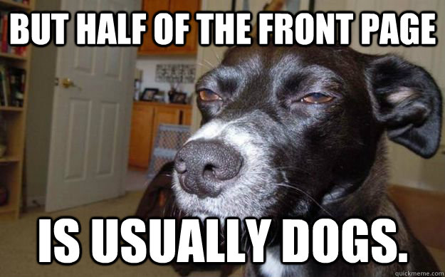 But half of the front page is usually dogs.  Skeptical Mutt