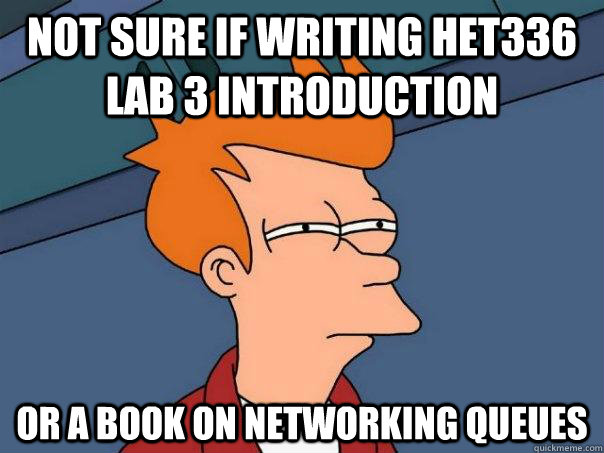 Not sure if writing HET336 Lab 3 Introduction  Or a Book on Networking Queues - Not sure if writing HET336 Lab 3 Introduction  Or a Book on Networking Queues  Futurama Fry