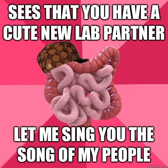 Sees that you have a cute new lab partner Let me sing you the song of my people  Scumbag Intestines