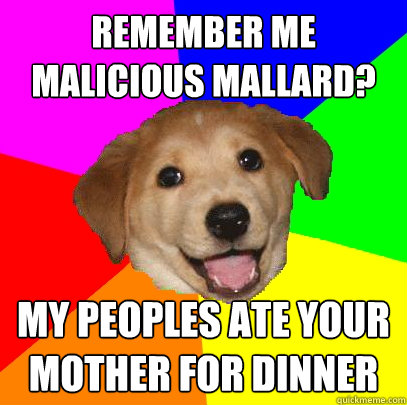 remember me malicious mallard? my peoples ate your mother for dinner - remember me malicious mallard? my peoples ate your mother for dinner  Advice Dog