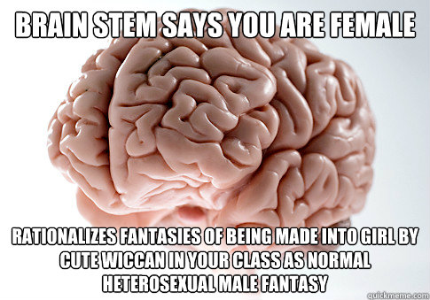 brain stem says you are female rationalizes fantasies of being made into girl by cute wiccan in your class as normal heterosexual male fantasy  Scumbag Brain