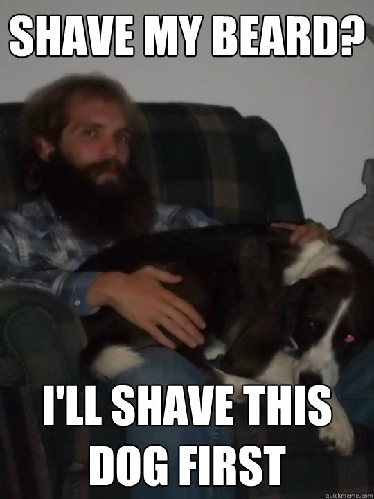 Shave my beard? I'll shave this dog first - Shave my beard? I'll shave this dog first  serious lumberjack