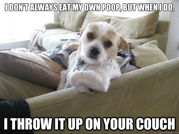 I don't always eat my own poop, but when I do, I throw it up on your couch  