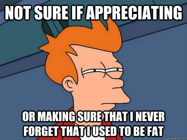 Not sure if appreciating Or making sure that I never forget that I used to be fat  Futurama Fry