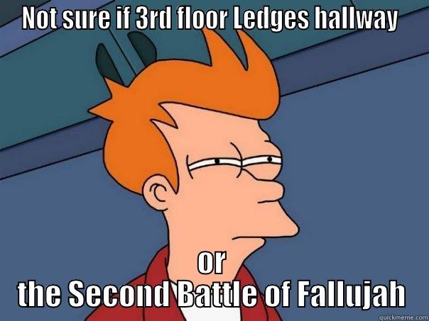 NOT SURE IF 3RD FLOOR LEDGES HALLWAY  OR THE SECOND BATTLE OF FALLUJAH Futurama Fry