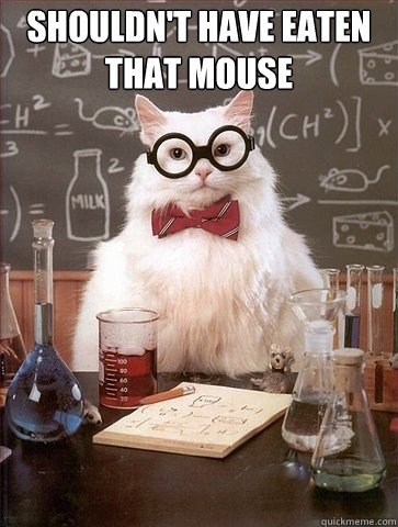 Shouldn't have eaten that mouse   Chemistry Cat