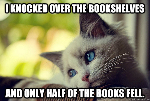 i knocked over the bookshelves and only half of the books fell.  First World Problems Cat