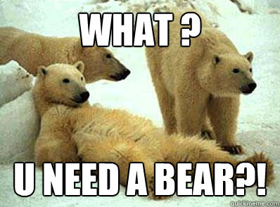 What ? U need a bear?!  