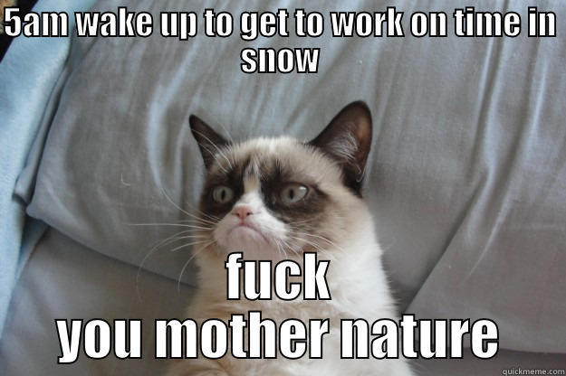 Kill Mother Nature - 5AM WAKE UP TO GET TO WORK ON TIME IN SNOW FUCK YOU MOTHER NATURE Grumpy Cat