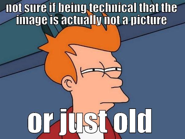 NOT SURE IF BEING TECHNICAL THAT THE IMAGE IS ACTUALLY NOT A PICTURE OR JUST OLD Futurama Fry