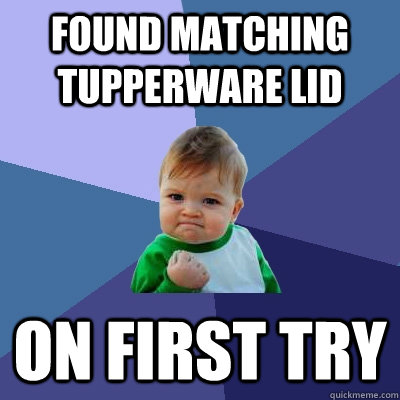 found matching tupperware lid on first try  Success Kid