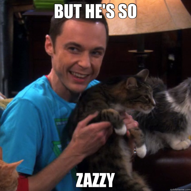 BUT HE'S SO ZAZZY - BUT HE'S SO ZAZZY  Bazinga Nerd