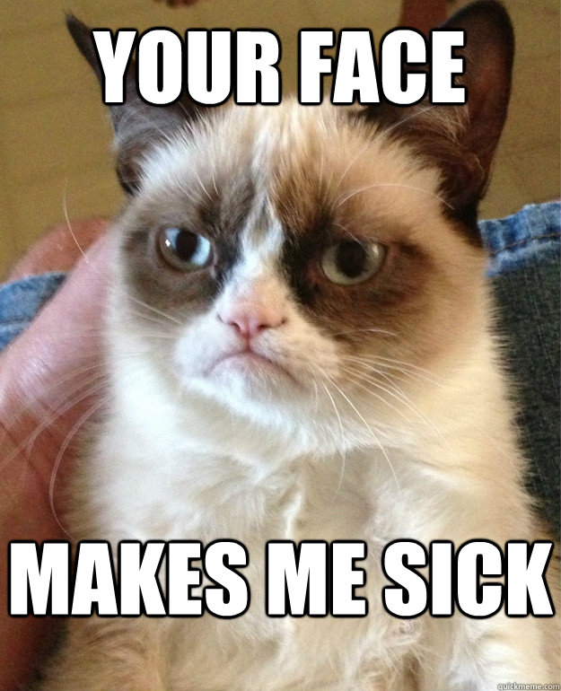 your face Makes me sick  Grumpy Cat