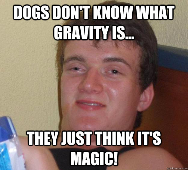 Dogs don't know what gravity is... they just think it's magic!  10 Guy