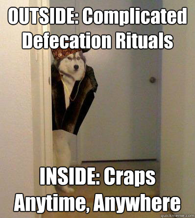 OUTSIDE: Complicated Defecation Rituals
 INSIDE: Craps Anytime, Anywhere
  Scumbag dog