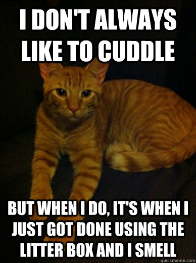 I don't always like to cuddle But when I do, it's when I just got done using the litter box and I smell  I dont always like to cuddle