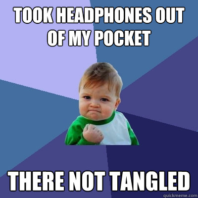 took headphones out of my pocket there not tangled   Success Kid