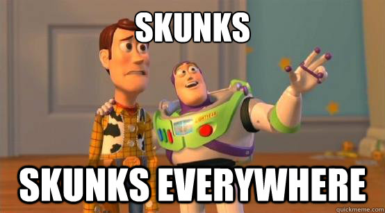 Skunks Skunks everywhere - Skunks Skunks everywhere  Buzz Glitter