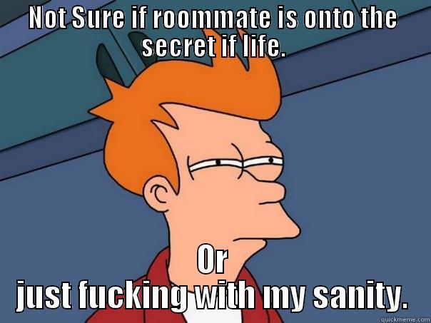 NOT SURE IF ROOMMATE IS ONTO THE SECRET IF LIFE. OR JUST FUCKING WITH MY SANITY. Futurama Fry