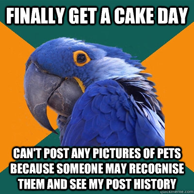 Finally get a cake day Can't post any pictures of pets because someone may recognise them and see my post history  Paranoid Parrot