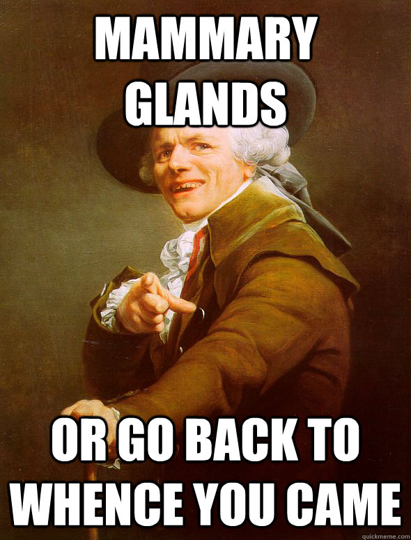 Mammary Glands Or go back to whence you came  Joseph Ducreux