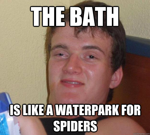 The bath is like a waterpark for spiders  10 Guy