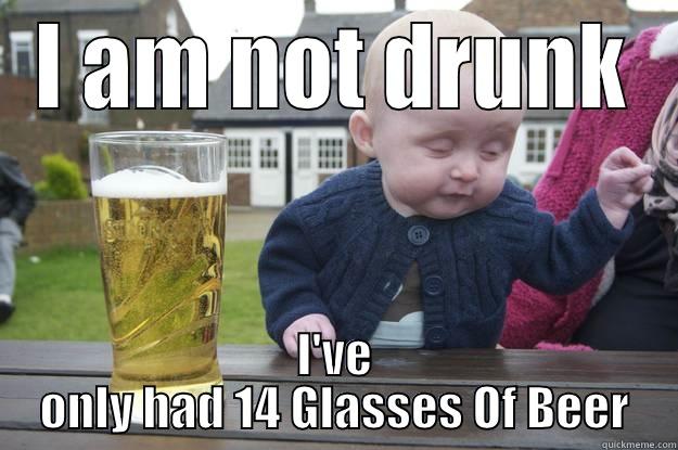 I AM NOT DRUNK I'VE ONLY HAD 14 GLASSES OF BEER drunk baby