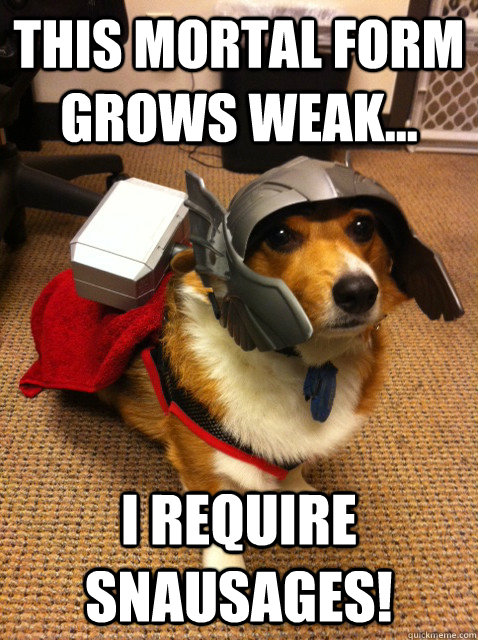 This mortal form grows weak... I require snausages! - This mortal form grows weak... I require snausages!  ThorGi