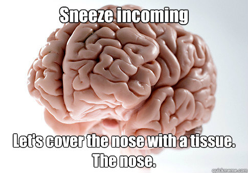 Sneeze incoming Let's cover the nose with a tissue. The nose.  Scumbag Brain