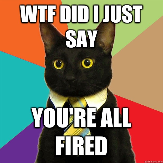 WTF DID I JUST SAY YOU'RE ALL FIRED  Business Cat