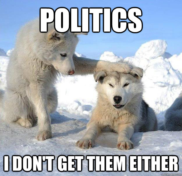 politics i don't get them either  Caring Husky