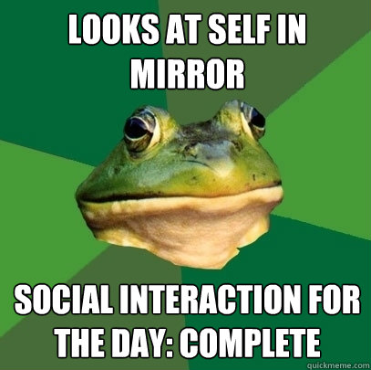 looks at self in mirror social interaction for the day: complete  - looks at self in mirror social interaction for the day: complete   Foul Bachelor Frog