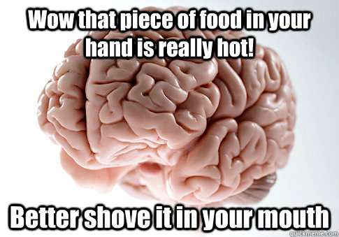 Wow that piece of food in your hand is really hot! Better shove it in your mouth - Wow that piece of food in your hand is really hot! Better shove it in your mouth  Scumbag Brain