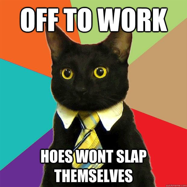 off to work hoes wont slap themselves  Business Cat