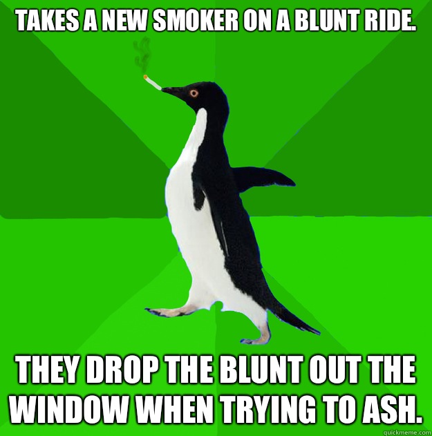 Takes a new smoker on a blunt ride.  They drop the blunt out the window when trying to ash.  - Takes a new smoker on a blunt ride.  They drop the blunt out the window when trying to ash.   Stoner Penguin